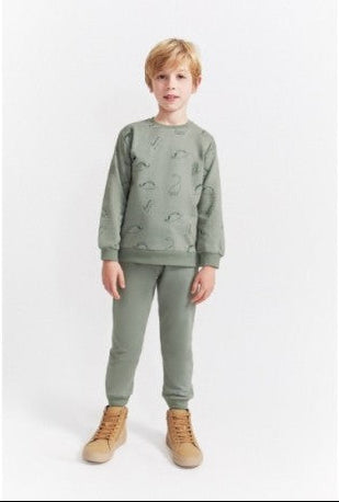 CONJUNTO SUDADERA Y PANTALON DINO